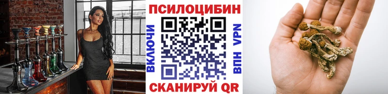 Псилоцибиновые грибы прущие грибы  что такое наркотик  Семилуки 